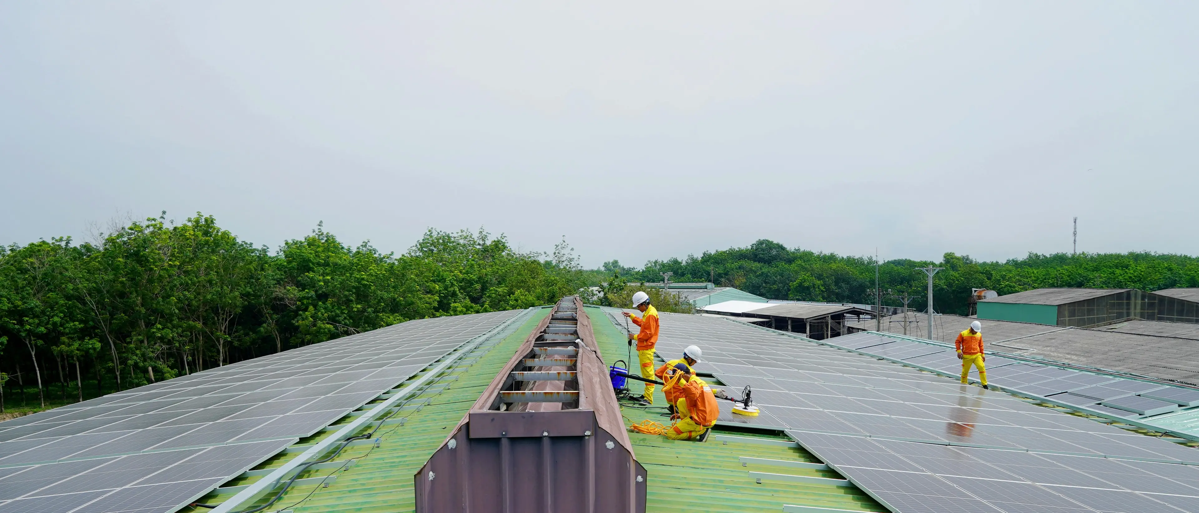 Pnrr Calabria, zero domande per la Transizione 5.0: le imprese rinunciano all’innovazione e ai fondi green\n