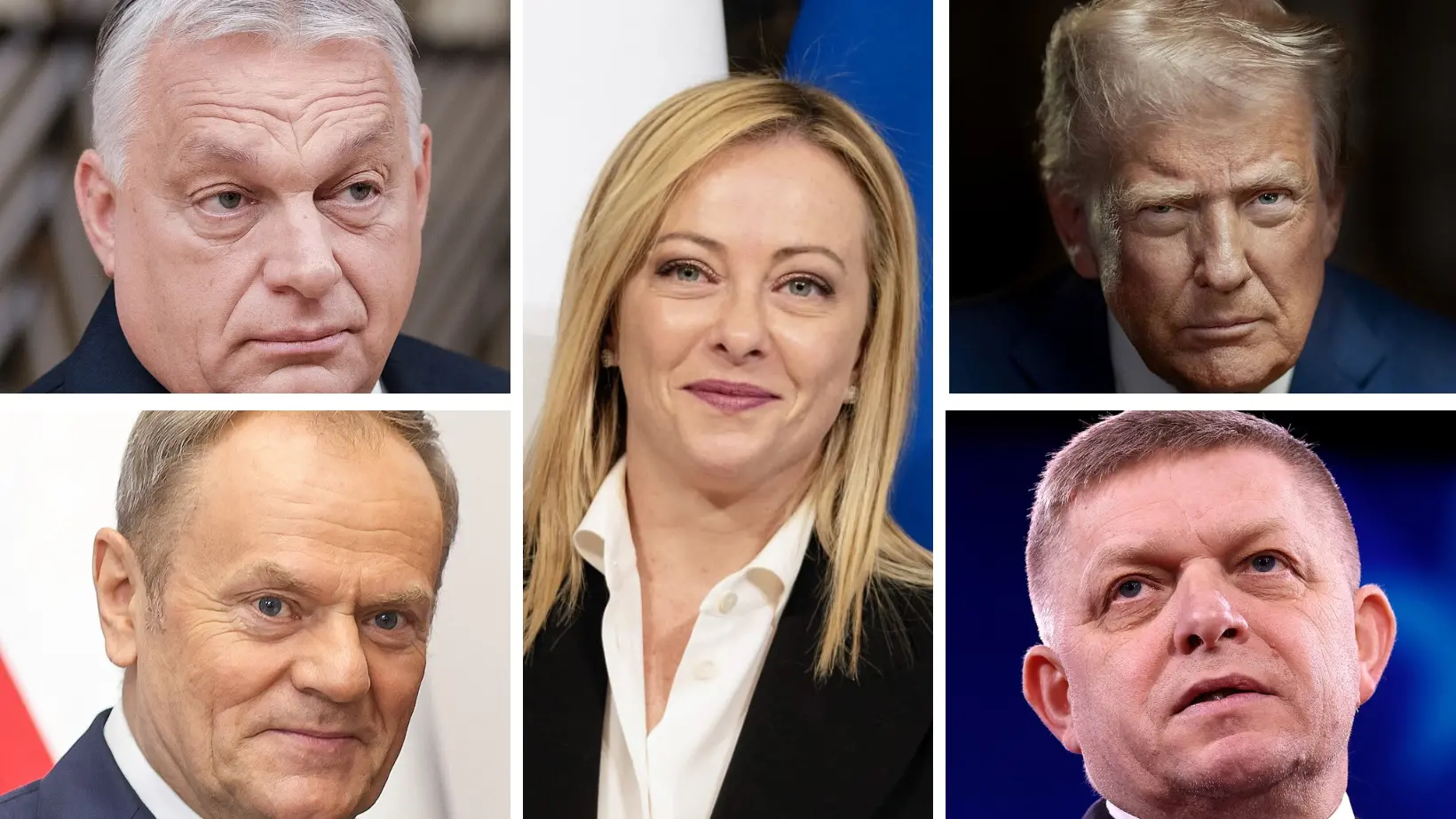 <p>Orban (Ungheria), Tusk (Polonia), Meloni (Italia), Trump (Usa), Fico (Slovacchia)</p>\\n