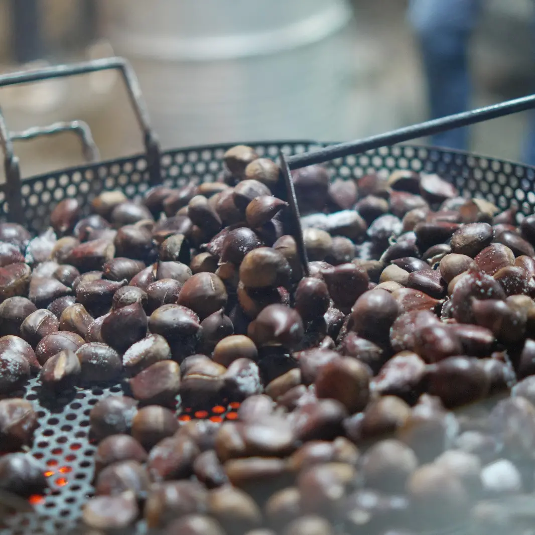Corigliano Rossano,\u00A0La “Sagra della Castagna” fa tappa a Piana Caruso\n
