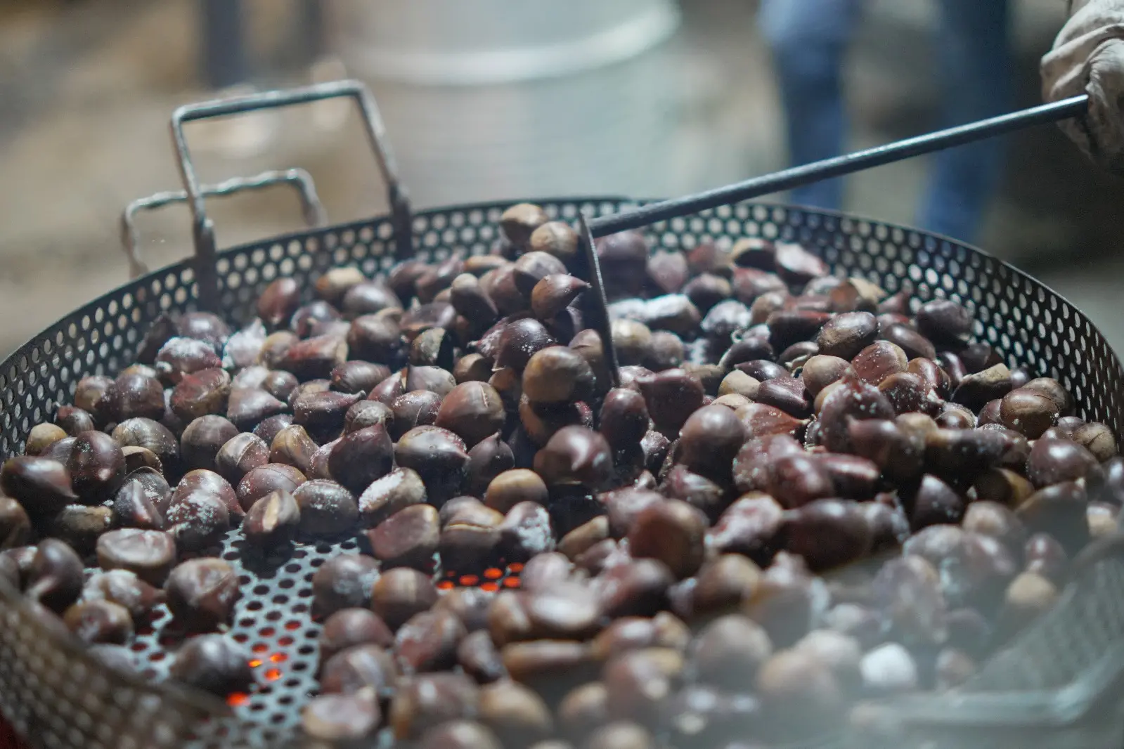 Corigliano Rossano,\u00A0La “Sagra della Castagna” fa tappa a Piana Caruso\n