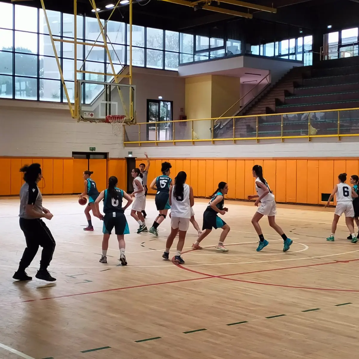 Riapre il Centro Sportivo Viola, la soddisfazione della Fip Calabria e del presidente Surace\n