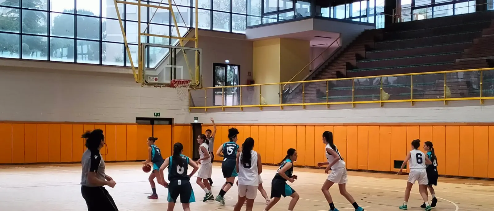 Riapre il Centro Sportivo Viola, la soddisfazione della Fip Calabria e del presidente Surace\n