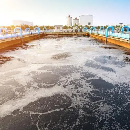 Depuratori non a norma nel Vibonese: gli scarichi di tre comuni finivano nel mare di Pizzo\n