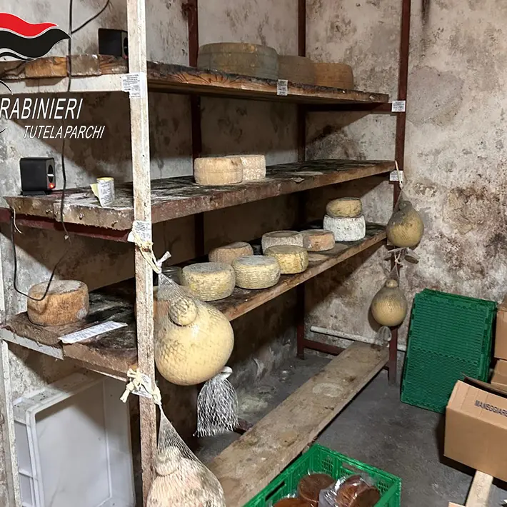 Mormanno, sequestrati oltre 1.300 chili di alimenti in un’azienda agricola irregolare\n