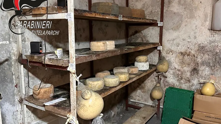 I prodotti posti sotto sequestro a Mormanno