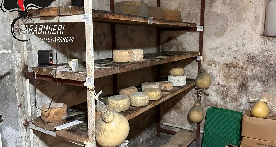 Mormanno, sequestrati oltre 1.300 chili di alimenti in un’azienda agricola irregolare\n