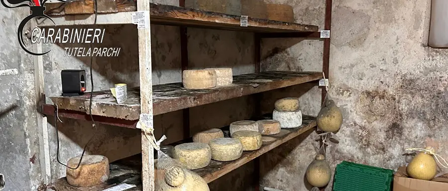 Mormanno, sequestrati oltre 1.300 chili di alimenti in un’azienda agricola irregolare\n