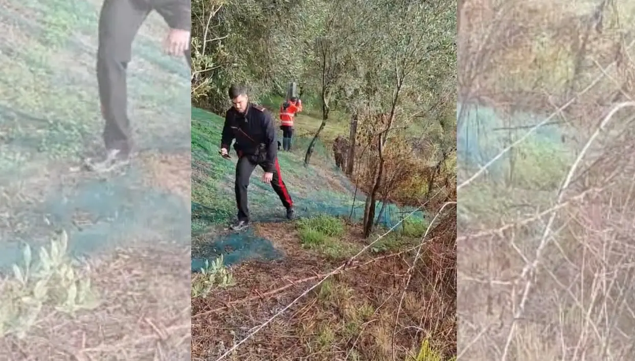 Incidente tra San Gregorio e Francica