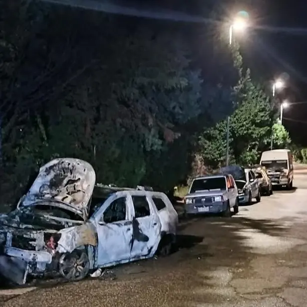 Incendi dolosi, il Comune: «Brucia anche a noi. Villa reagisce con dignità e coraggio»\n