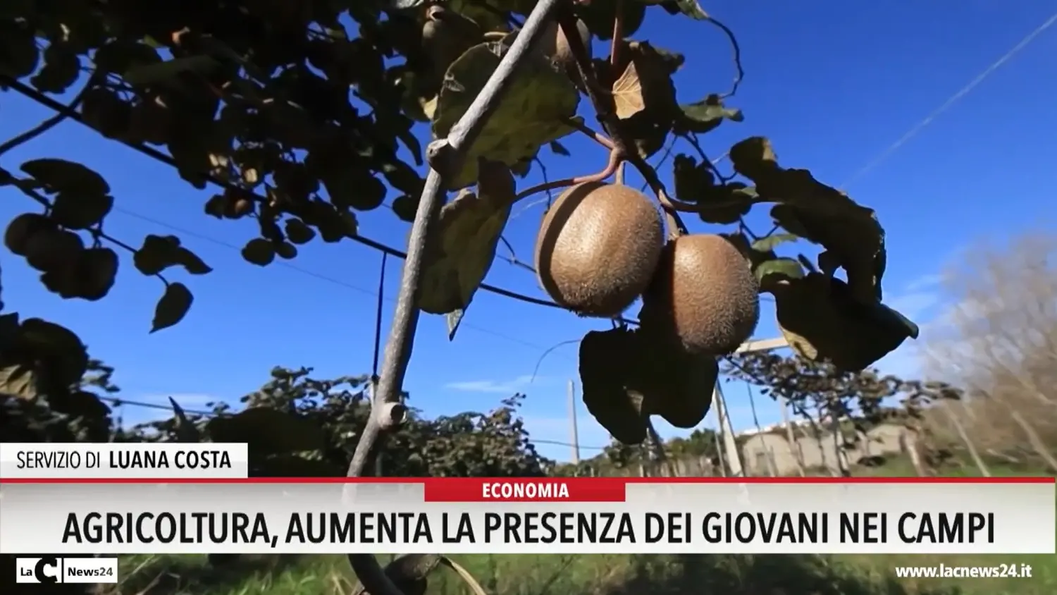 Agricoltura: aumenta la presenza dei giovani nei campi