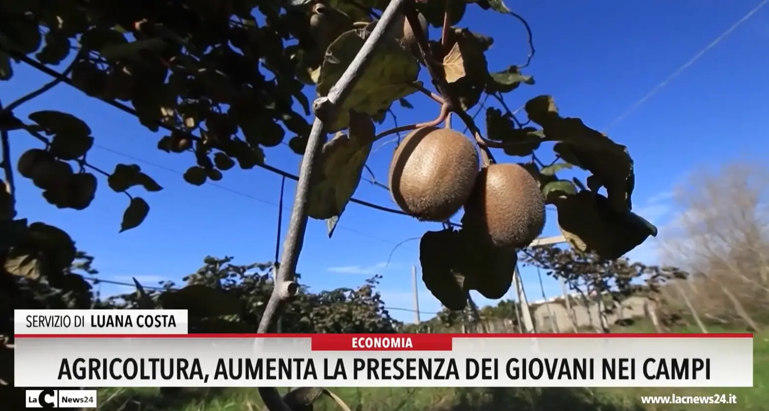 Agricoltura: aumenta la presenza dei giovani nei campi