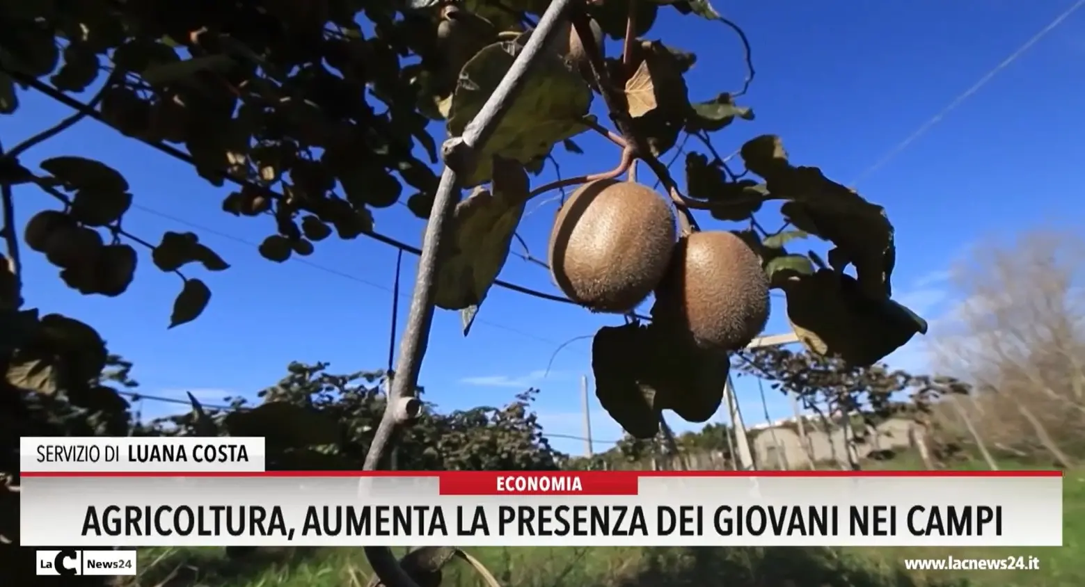 Agricoltura: aumenta la presenza dei giovani nei campi