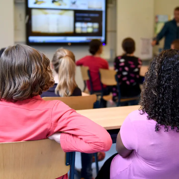 Il contrasto\u00A0alla violenza sulle donne passa dalla scuola: in Calabria il 98% degli istituti superiori ha avviato progetti ad hoc