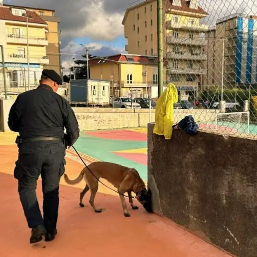 Droga al Parco Mater domini a Catanzaro: il cane del Nucleo cinofili Batik scova hashish nei bagni pubblici\n