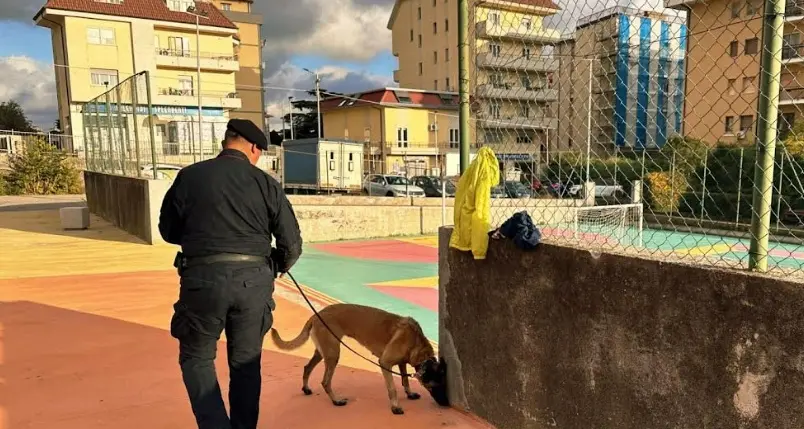 Droga al Parco Mater domini a Catanzaro: il cane del Nucleo cinofili Batik scova hashish nei bagni pubblici\n