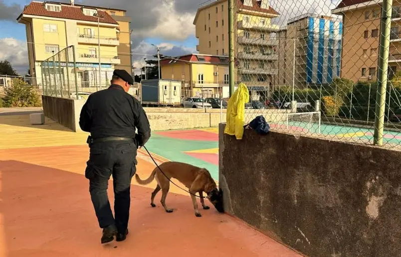 Droga al Parco Mater domini a Catanzaro: il cane del Nucleo cinofili Batik scova hashish nei bagni pubblici\n