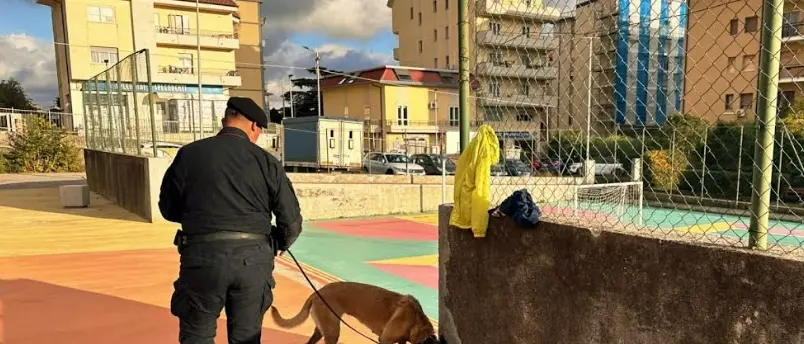Droga al Parco Mater domini a Catanzaro: il cane del Nucleo cinofili Batik scova hashish nei bagni pubblici\n