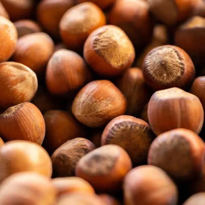 Crolla la produzione di nocciole, il Consorzio calabrese: «Servono interventi urgenti»\n