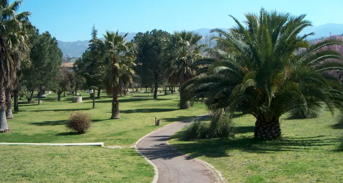 Cosenza, al Parco Nicholas Green tornano le “Domeniche Speciali”\n