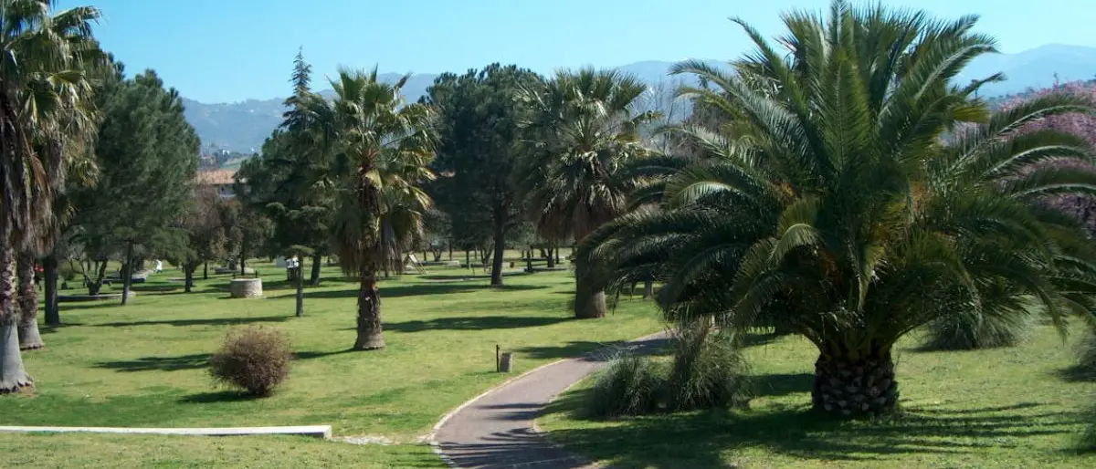 Cosenza, rubano un furgone in pieno giorno davanti al parco Nicholas Green\n