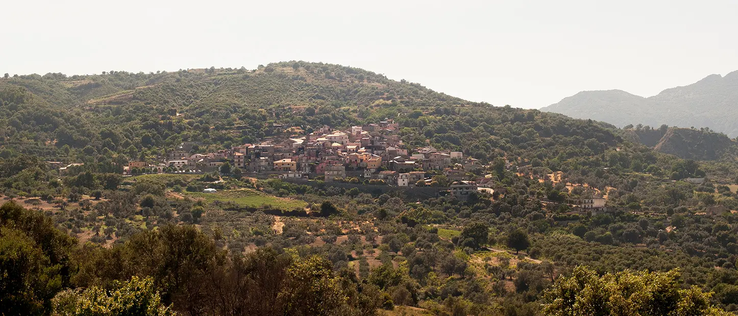 “Il mare che ci unisce”: a Camini una giornata tra arte, sapori ed educazione all’ambiente per riscoprire il valore del mare\n\n\n