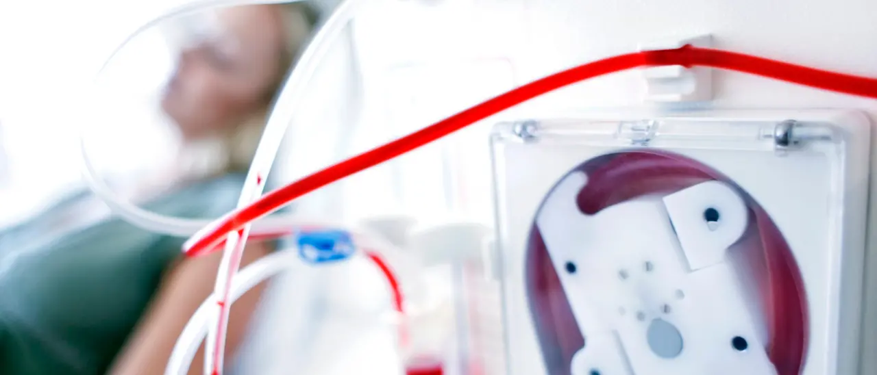 Dializzati, l’Aned incontra i vertici dell’Asp di Vibo: «Da loro grande disponibilità ma se chiudono Tropea andiamo coi carrarmati»\n