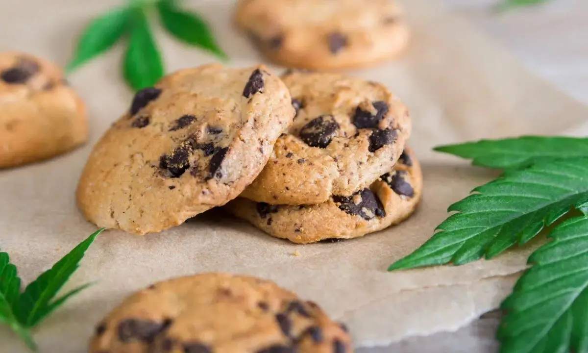 Bimbo di 4 anni intossicato da biscotti alla cannabis: arrestato lo zio ad Arezzo\n