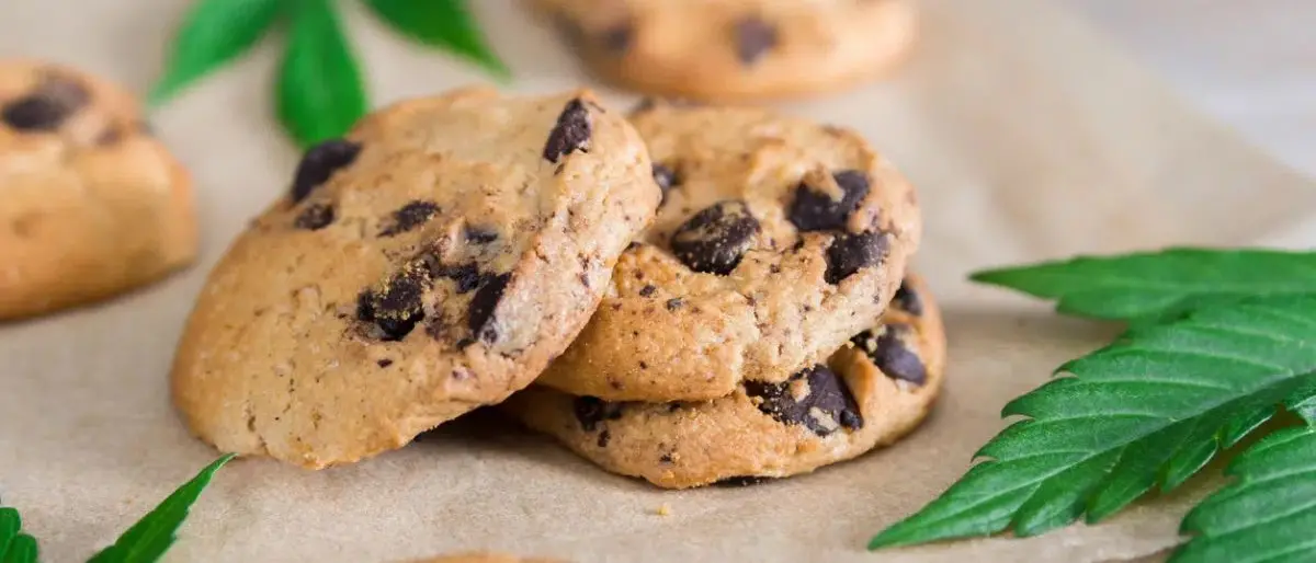 Bimbo di 4 anni intossicato da biscotti alla cannabis: arrestato lo zio ad Arezzo\n