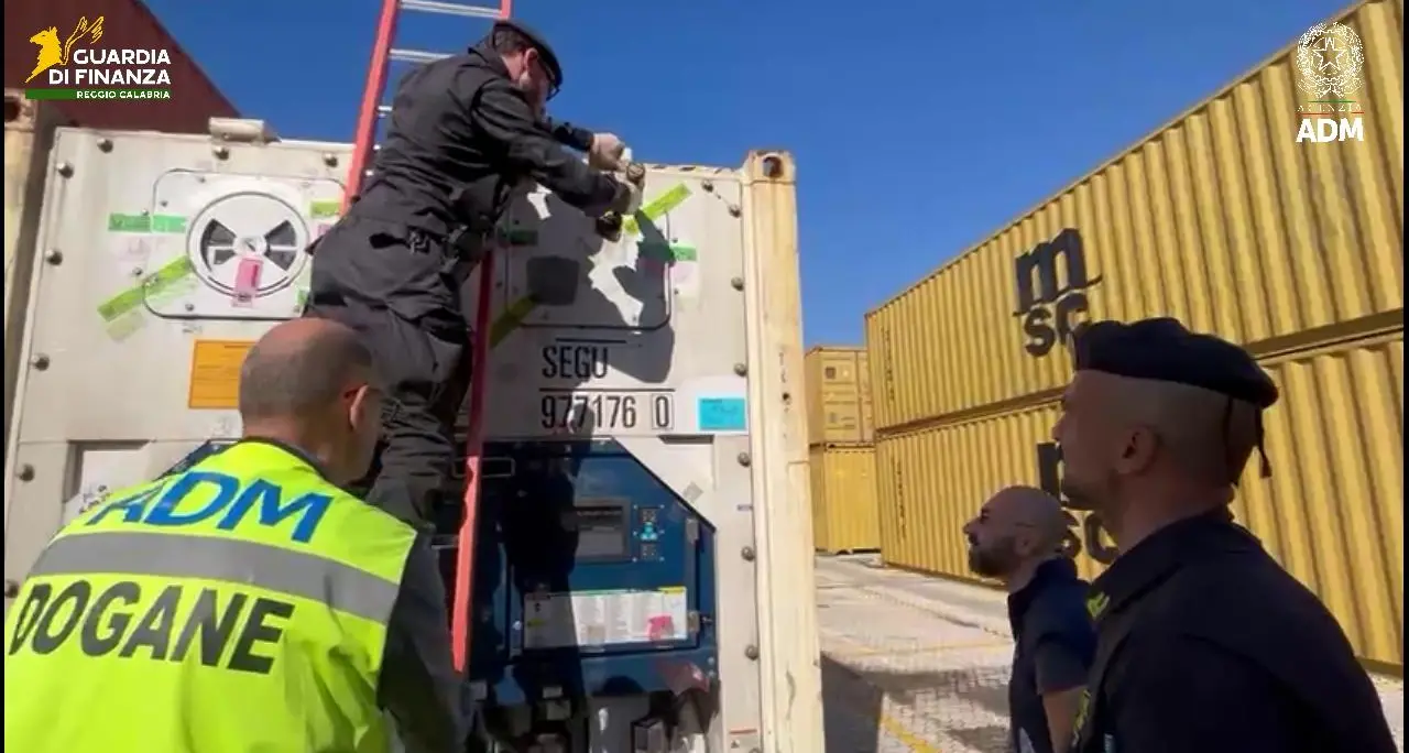 Maxi sequestro di coca\u00A0al porto di Gioia Tauro: oltre 175 chili nascosti tra polpi e gamberi surgelati: avrebbero fruttato 30 mln\n