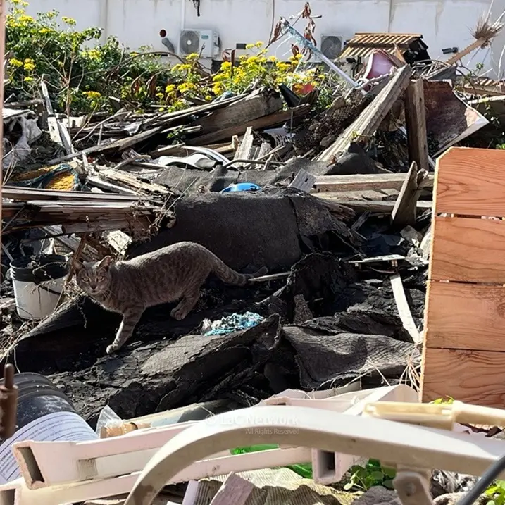 A Reggio Calabria via Fratelli Spagnolo è una discarica a cielo aperto tra baracche diroccate e rifiuti