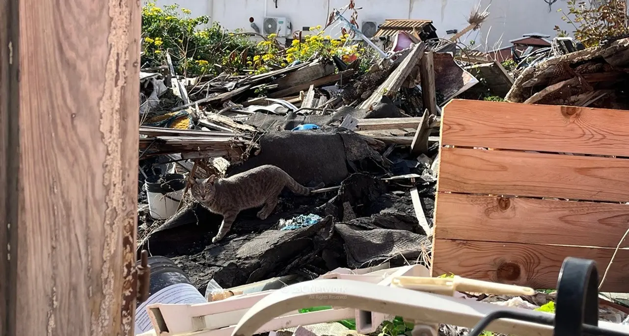 A Reggio Calabria via Fratelli Spagnolo è una discarica a cielo aperto tra baracche diroccate e rifiuti