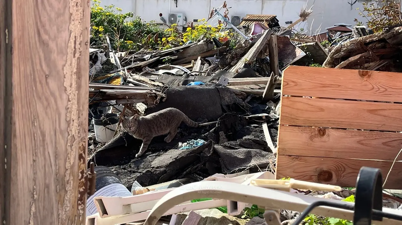 A Reggio Calabria via Fratelli Spagnolo è una discarica a cielo aperto tra baracche diroccate e rifiuti