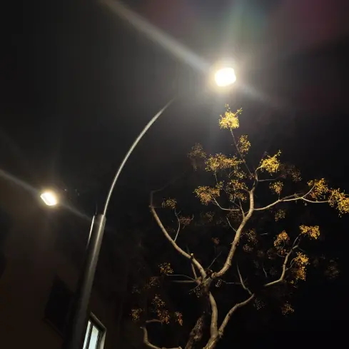 Reggio,\u00A0nuova illuminazione\u00A0per sicurezza e decoro in via Roma\n