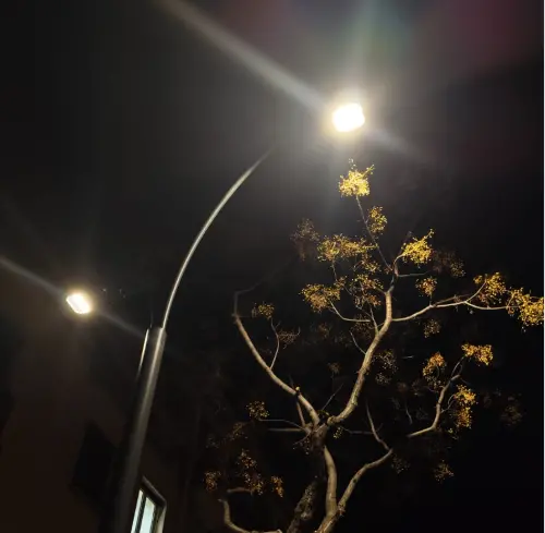 Reggio,\u00A0nuova illuminazione\u00A0per sicurezza e decoro in via Roma\n