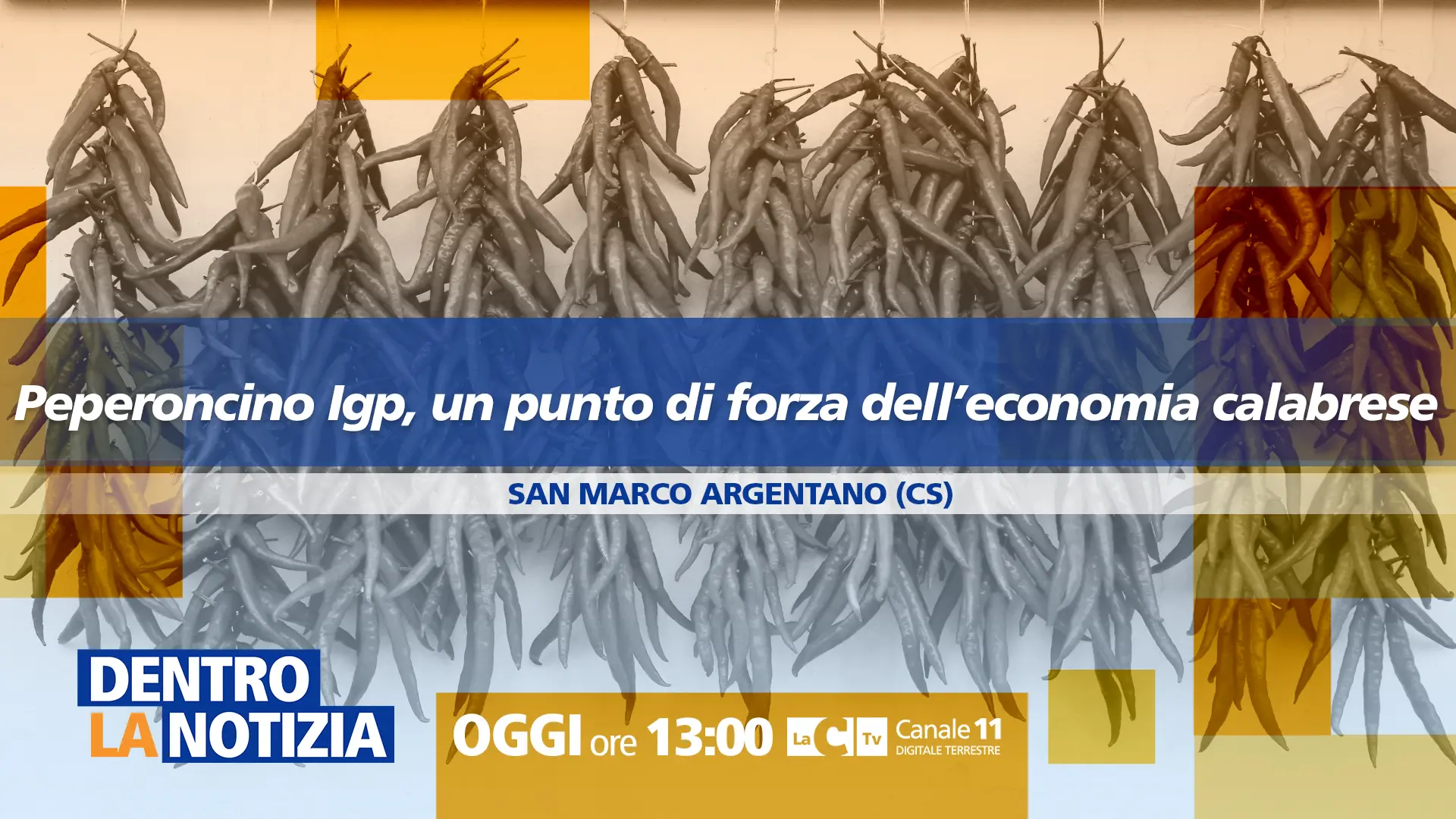 Peperoncino di Calabria Igp, simbolo di una regione che innova e cresce: focus a Dentro la Notizia\n