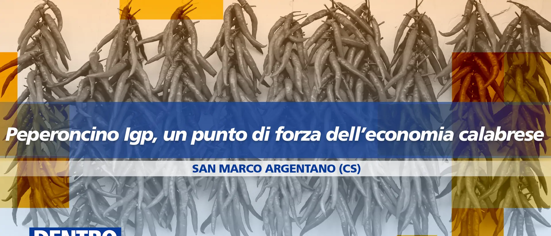 Peperoncino di Calabria Igp, simbolo di una regione che innova e cresce: focus a Dentro la Notizia\n
