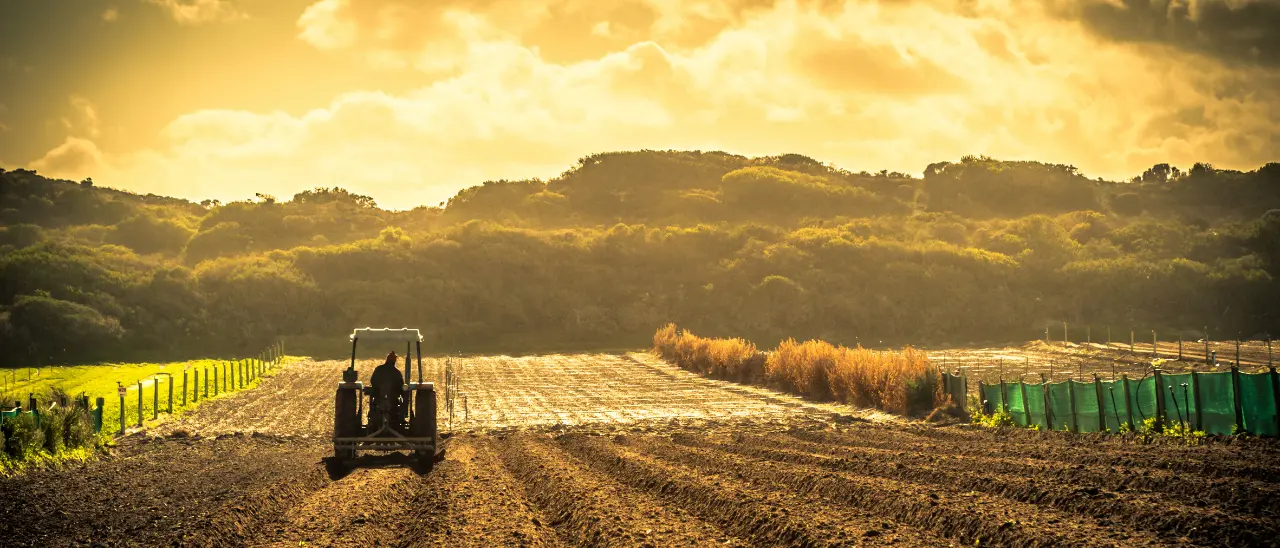 Giovani agricoltori in Calabria, ecco chi si aggiudica i finanziamenti del bando da 40 milioni –\u00A0L’ELENCO\n