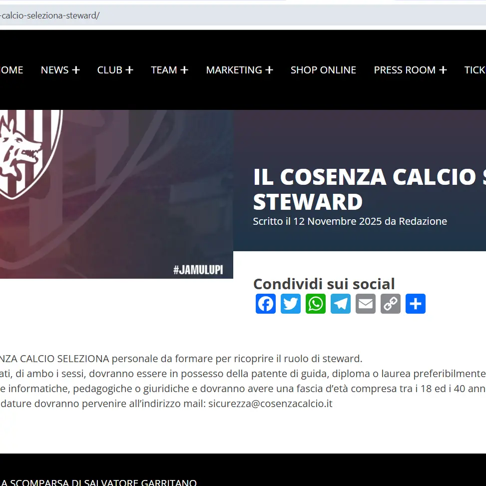 Il Cosenza Calcio seleziona steward: le modalità per chi si vuole candidare\n