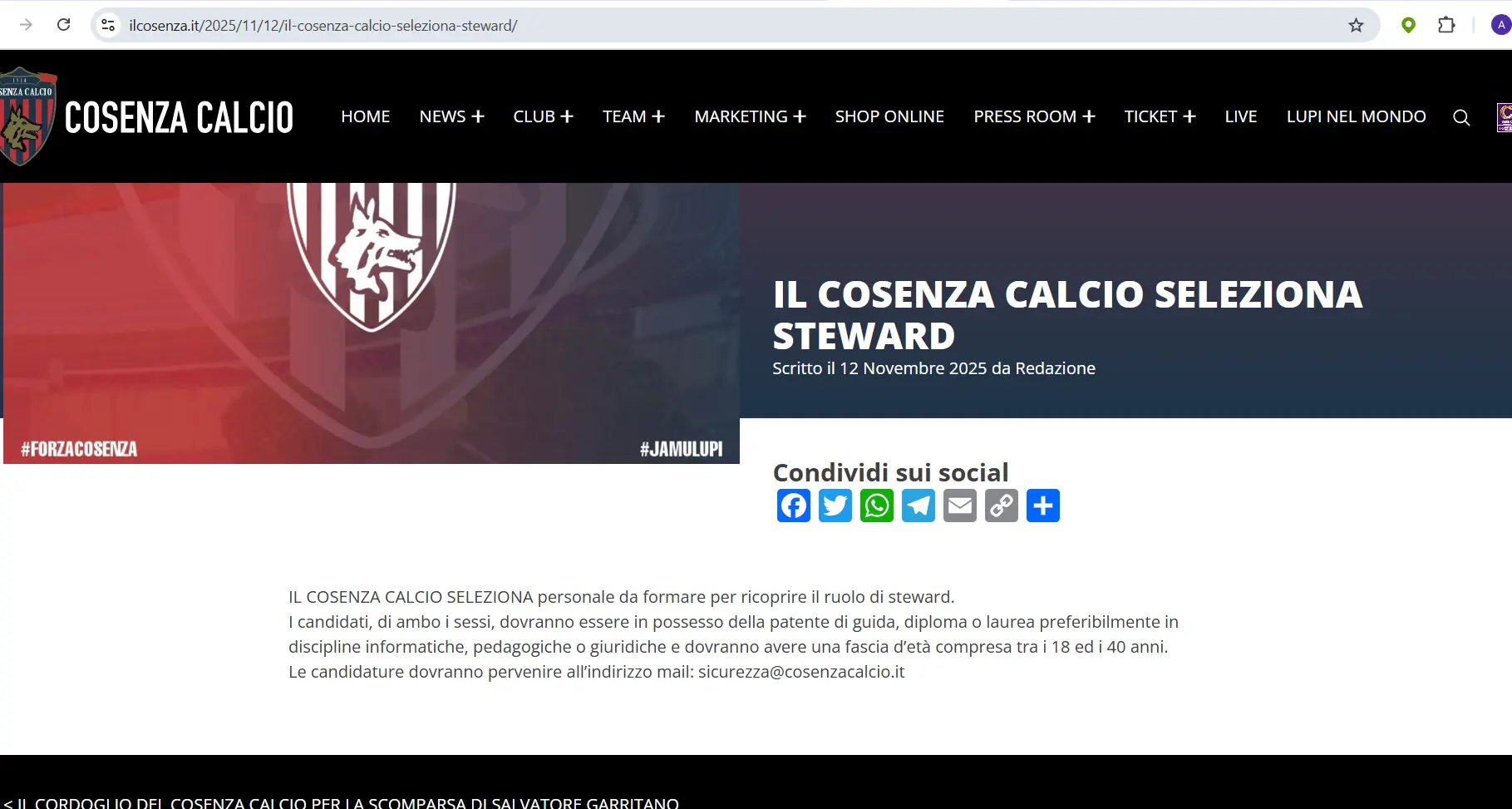 Il Cosenza Calcio seleziona steward: le modalità per chi si vuole candidare\n