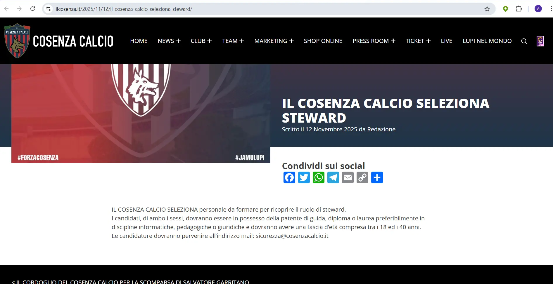 Il Cosenza Calcio seleziona steward: le modalità per chi si vuole candidare\n