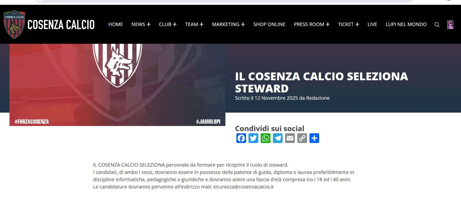 Il Cosenza Calcio seleziona steward: le modalità per chi si vuole candidare\n