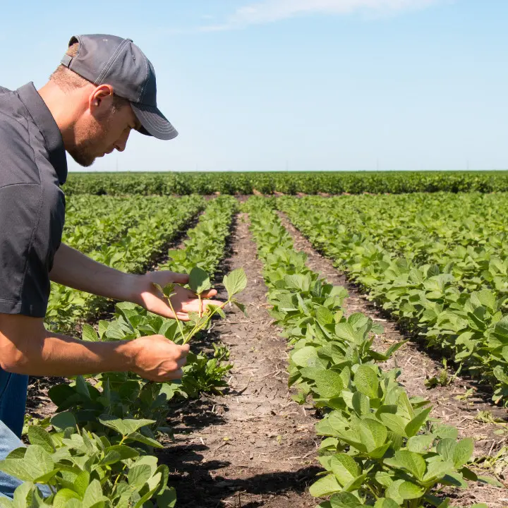 Tutti gli agricoltori calabresi che si sono aggiudicati i finanziamenti del bando da 40 milioni – L’ELENCO