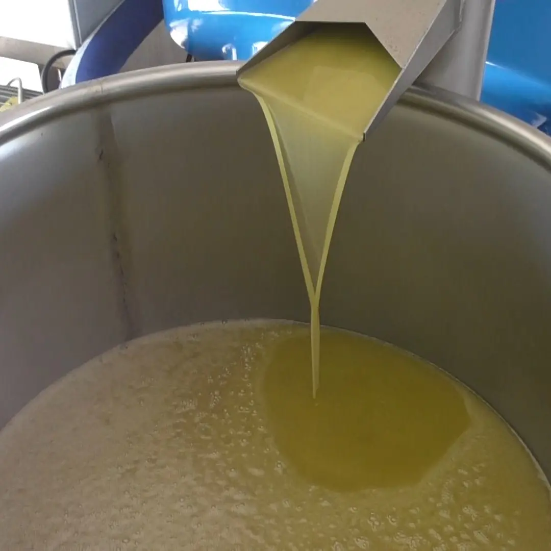 «L’olio importato dalla Tunisia ci farà chiudere»: agricoltori calabresi in ginocchio per il crollo dei prezzi\n