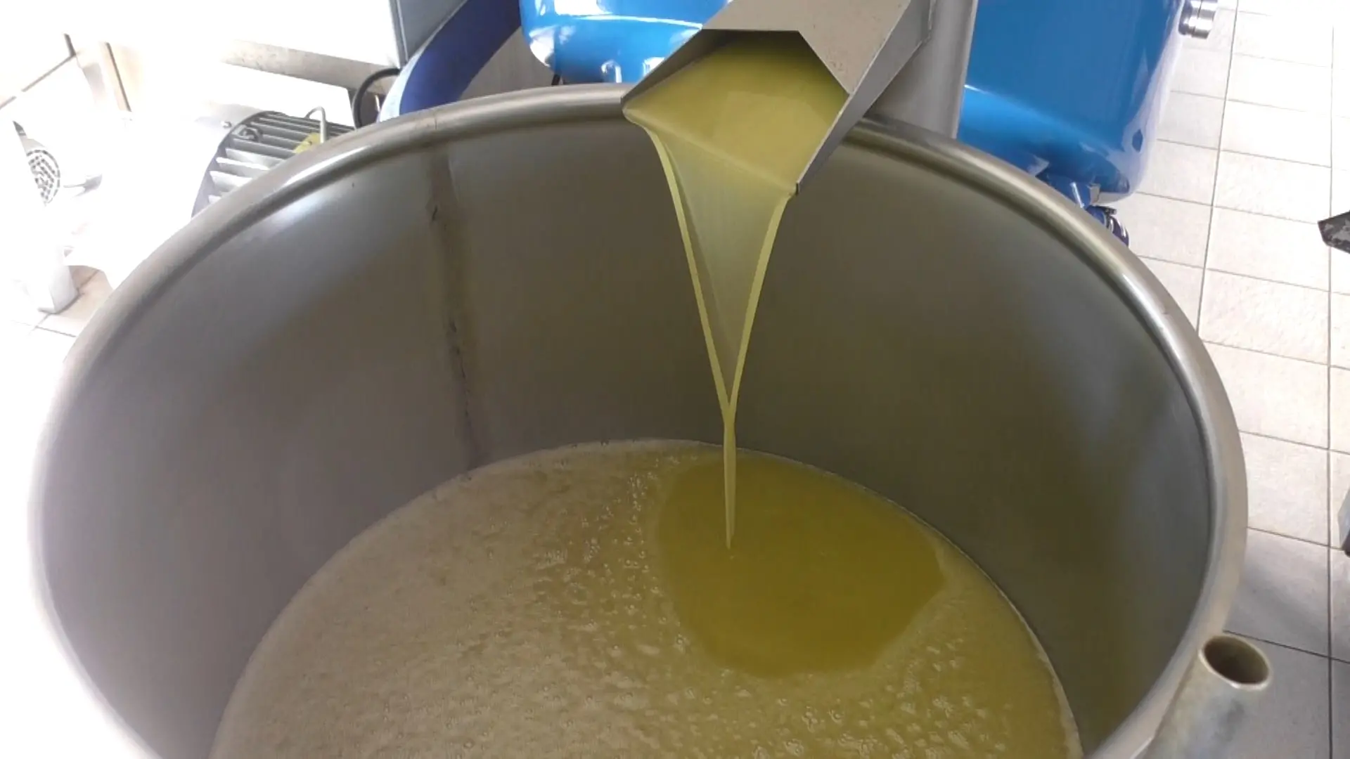 «L’olio importato dalla Tunisia ci farà chiudere»: agricoltori calabresi in ginocchio per il crollo dei prezzi\n