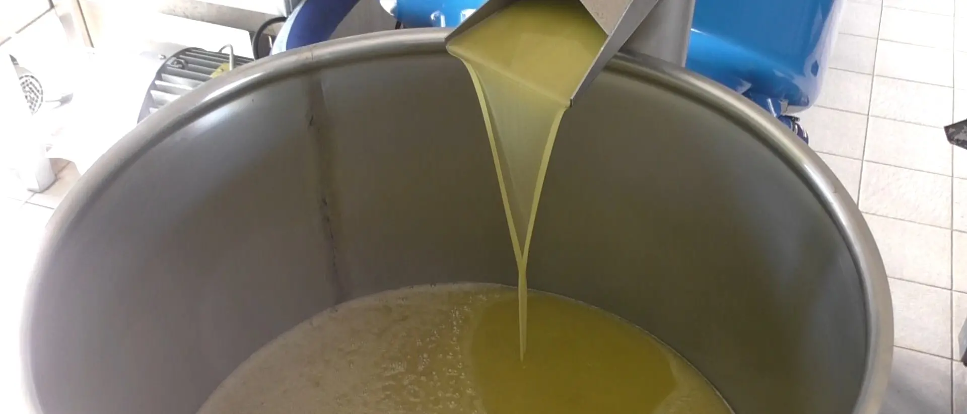 «L’olio importato dalla Tunisia ci farà chiudere»: agricoltori calabresi in ginocchio per il crollo dei prezzi\n