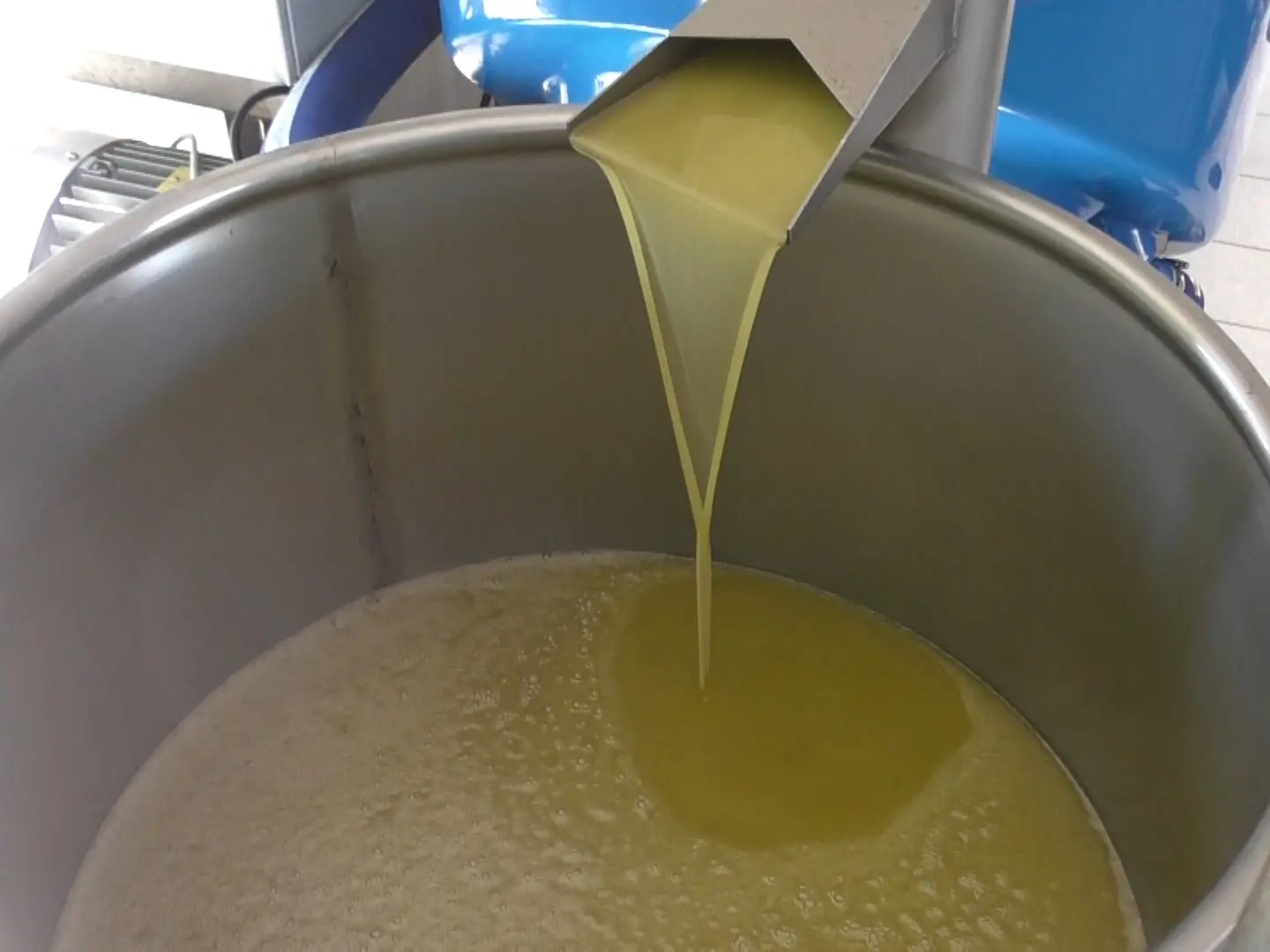 «L’olio importato dalla Tunisia ci farà chiudere»: agricoltori calabresi in ginocchio per il crollo dei prezzi