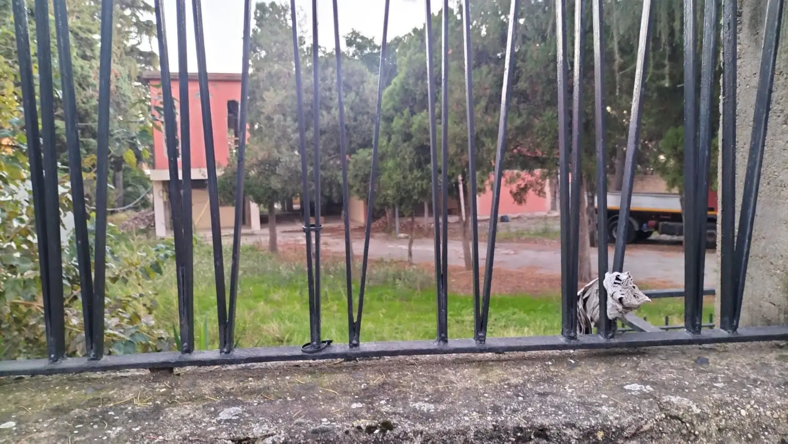 Reggio,\u00A0Condera abbandonata: degrado, topi e promesse mancate\n