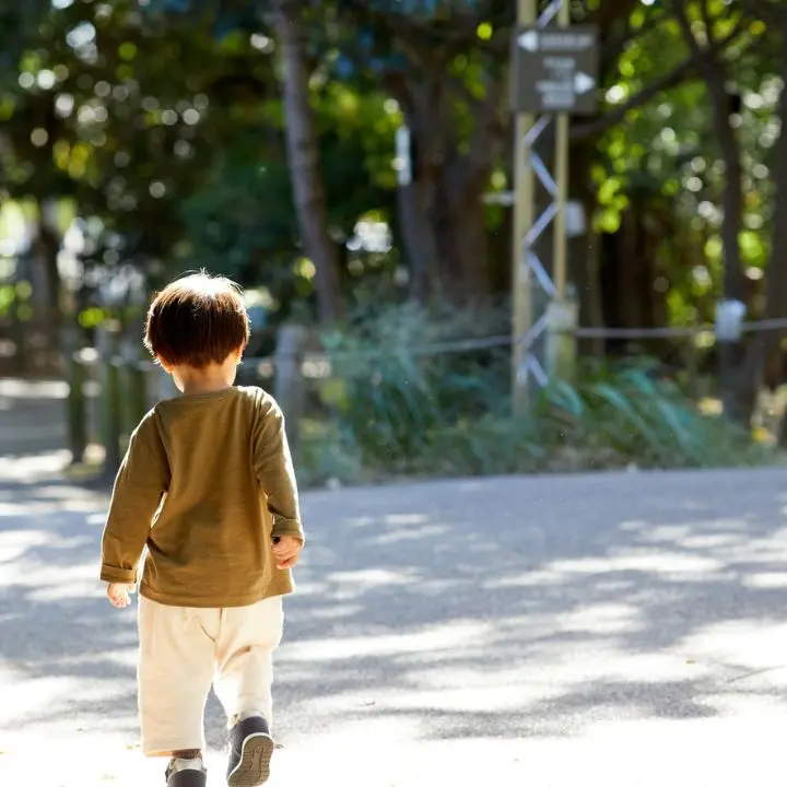 Bimbo di due anni muore soffocato nel cortile dell’asilo: sarebbe rimasto impigliato con la felpa ad un ramo\n