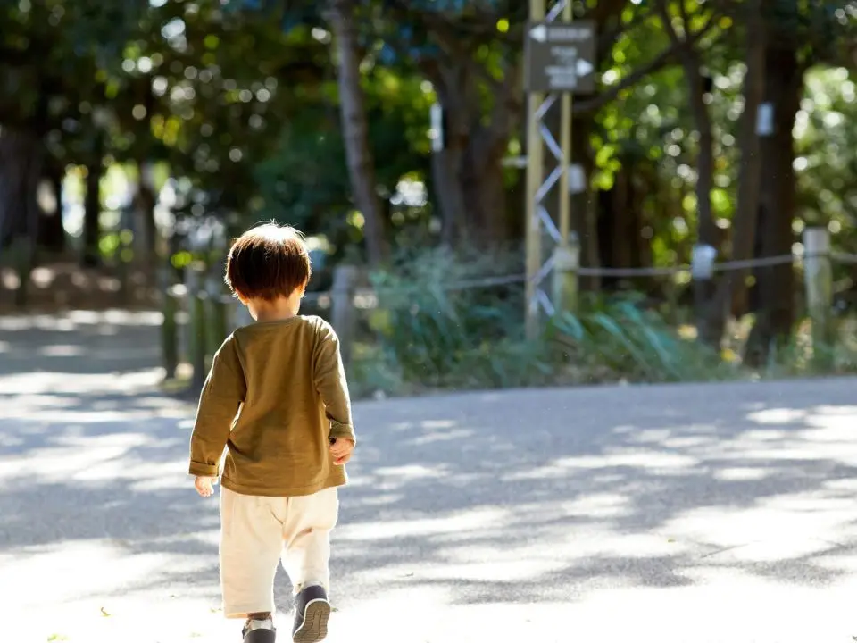Bimbo di due anni muore soffocato nel cortile dell’asilo: sarebbe rimasto impigliato con la felpa ad un ramo