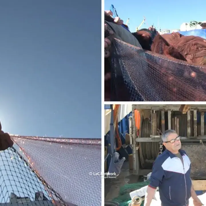«Ho investito 20mila euro ma la barca è ferma in porto»: le voci dei pescatori di Vibo Marina stremati dal nuovo stop